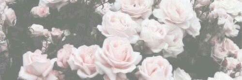 J94PRINCESS's profile banner image