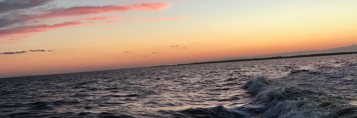 _evelynrosee's profile banner image