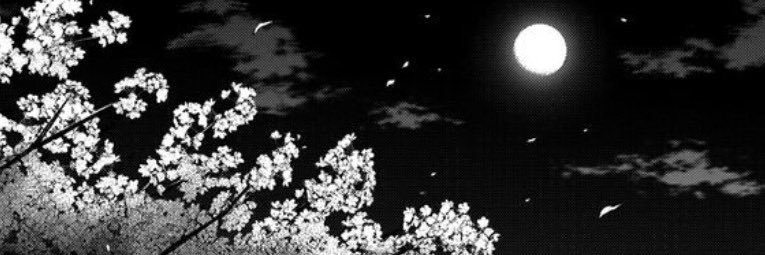 yettsie's profile banner image