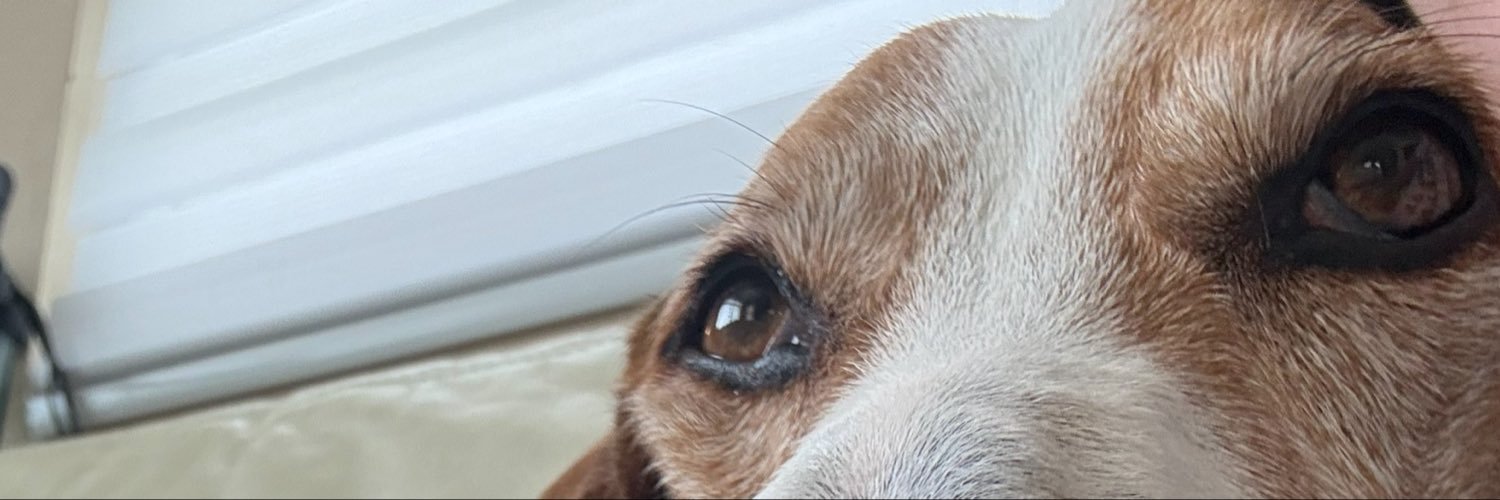 Biannette_'s profile banner image