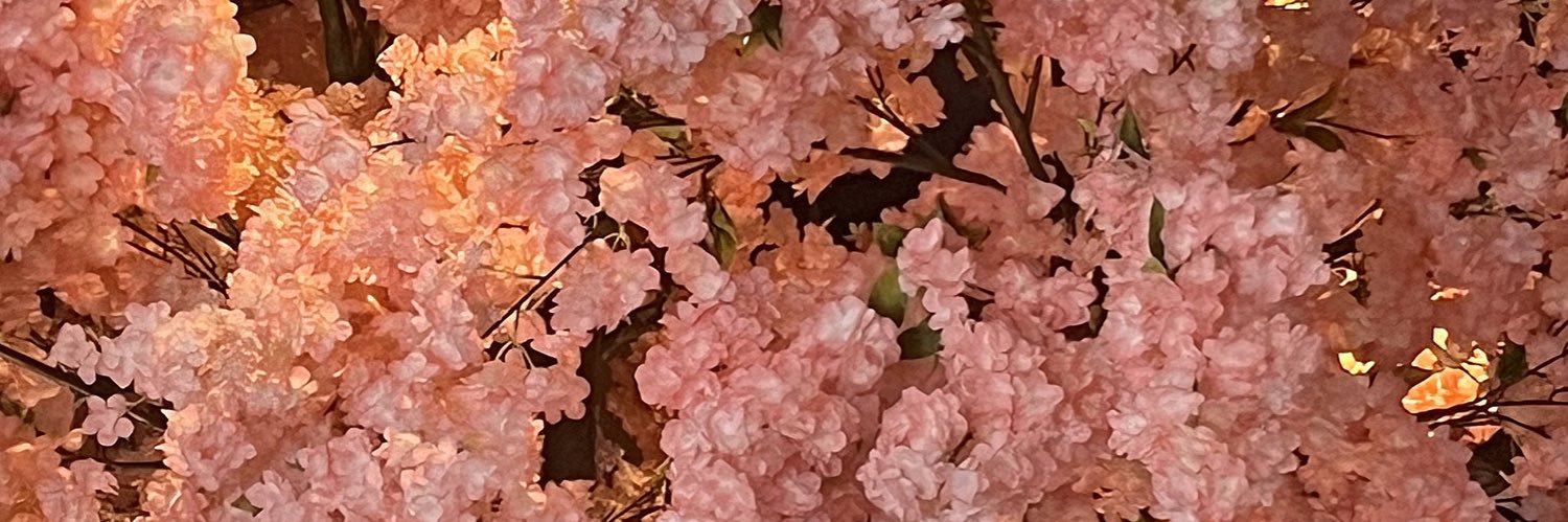 Talia banner