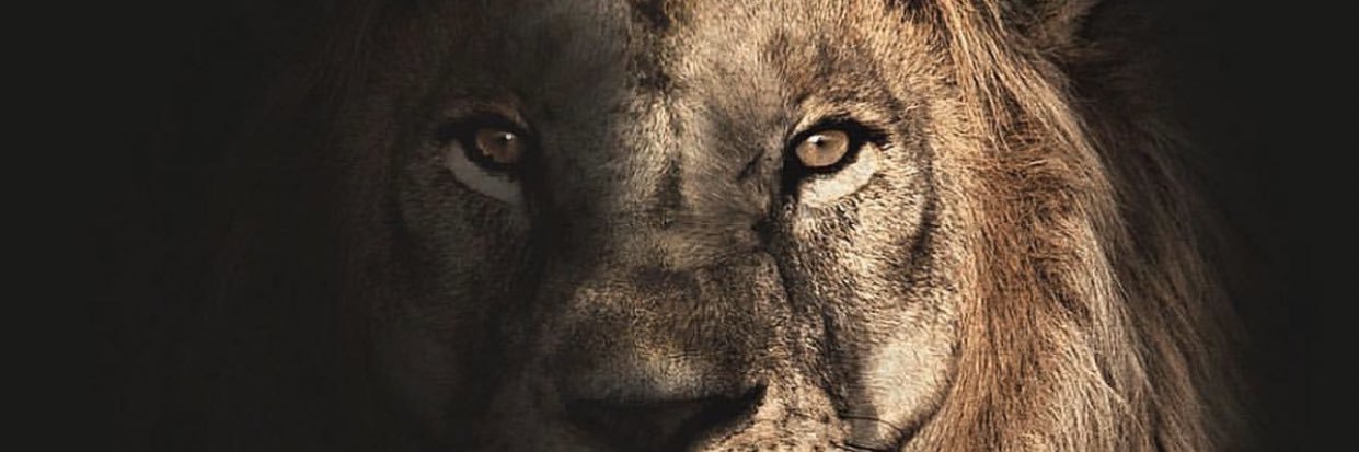 usmanxo_'s profile banner image