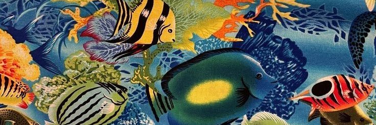 𝘿𝙖𝙣𝙞𝙗𝙤𝙮 banner