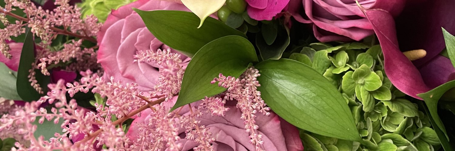 María del Mar Ramírez Alvarado banner