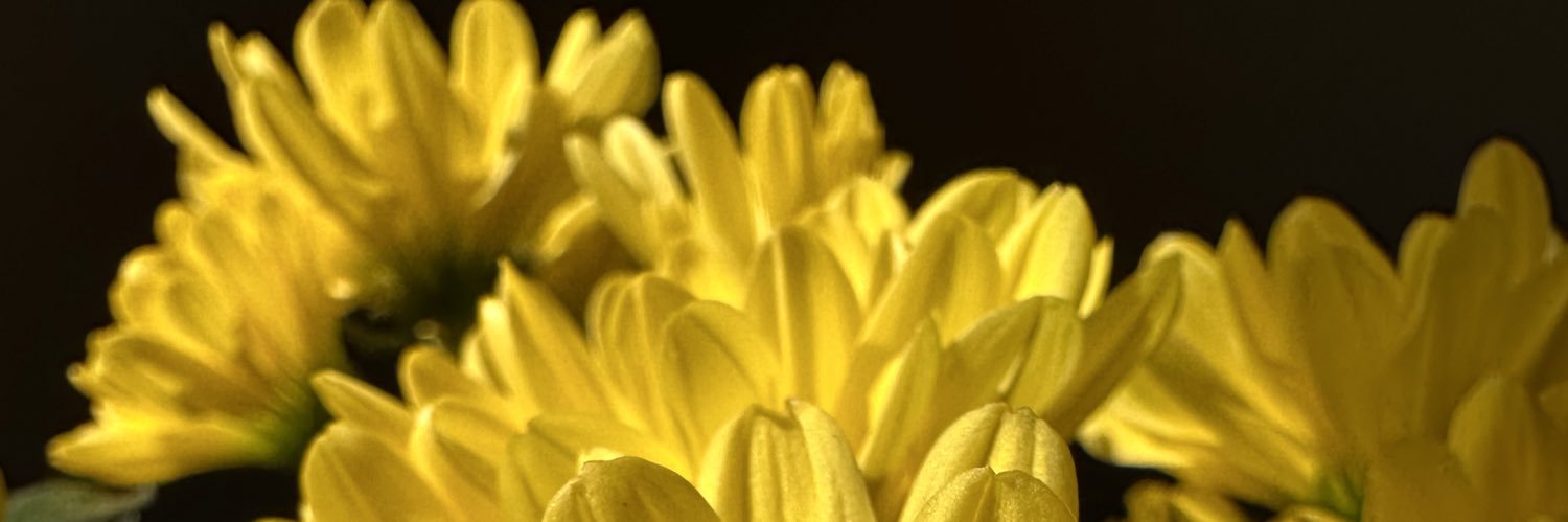 dilkas12's profile banner image