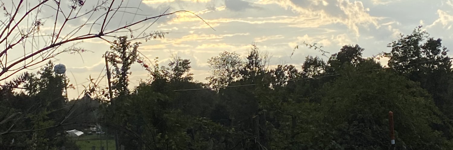 AudreaLife's profile banner image