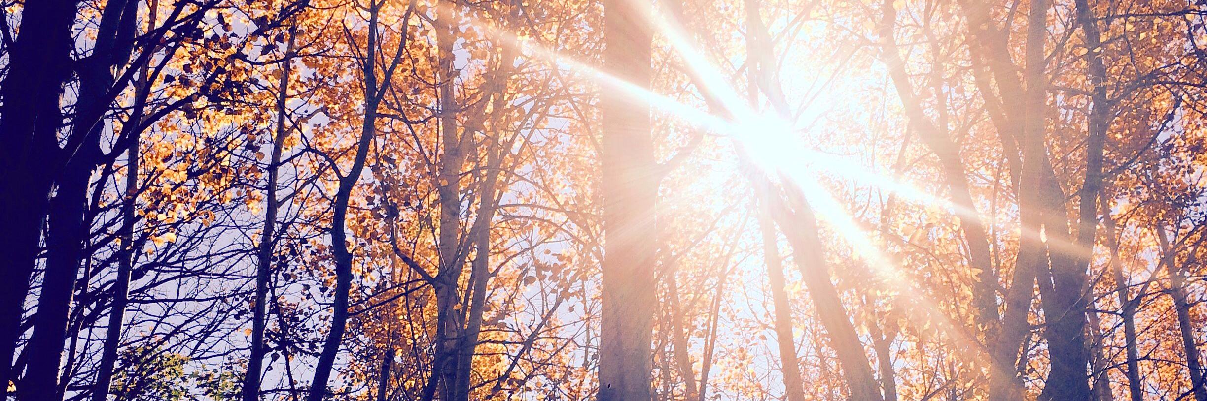 Jenniffer Weigel banner