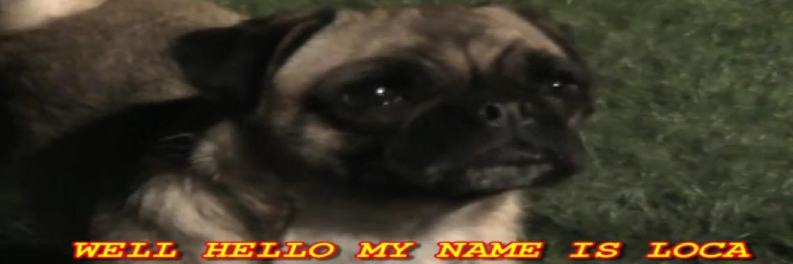 LordTruffles's profile banner image