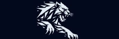 37435's profile banner image