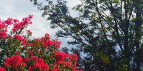 leleMotepe's profile banner image