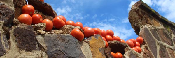 JvilleChamber Profile Banner