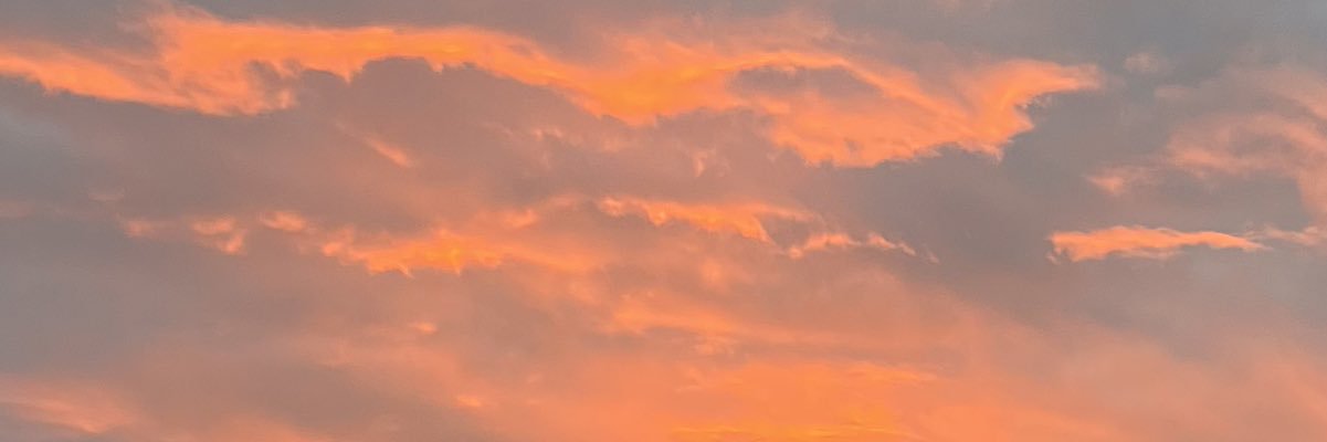 MargauxFish's profile banner image