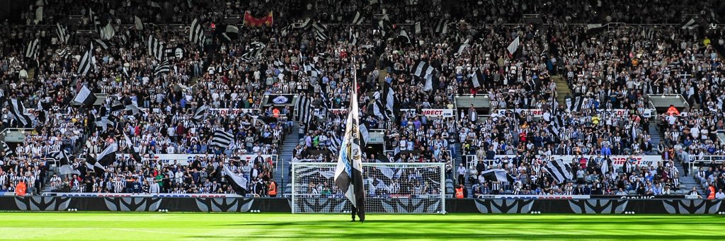 Andrew Kay banner