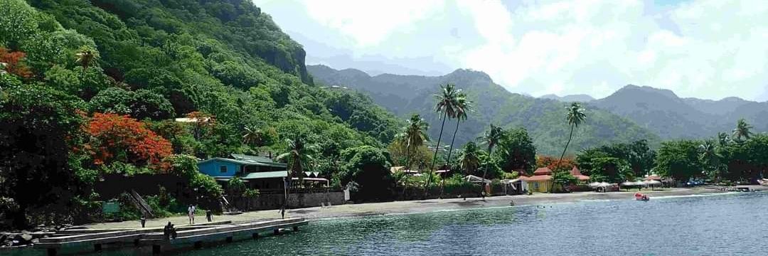 Michelle Michelle 🐙 banner