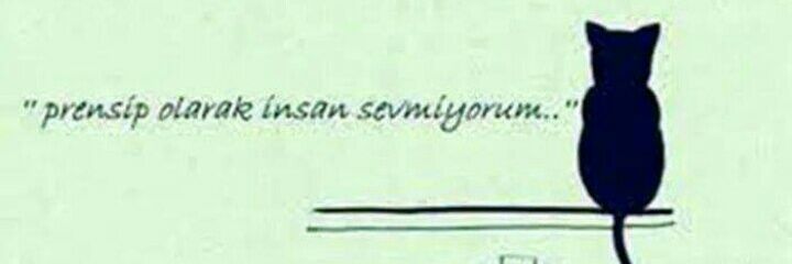 Hülya Alacaoğlu banner