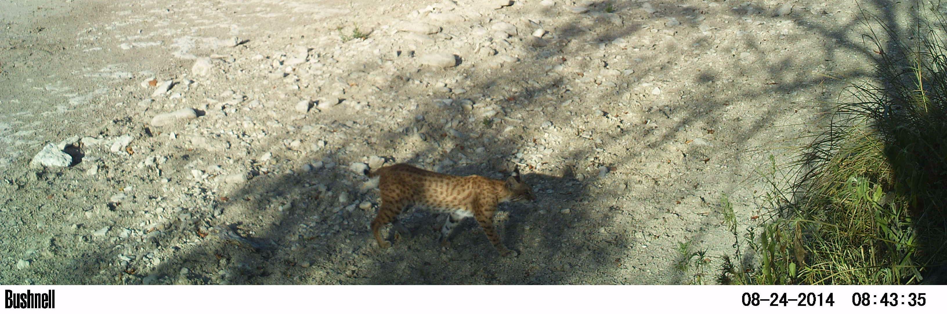 IAH — ∞time - J♡ 🧢 banner