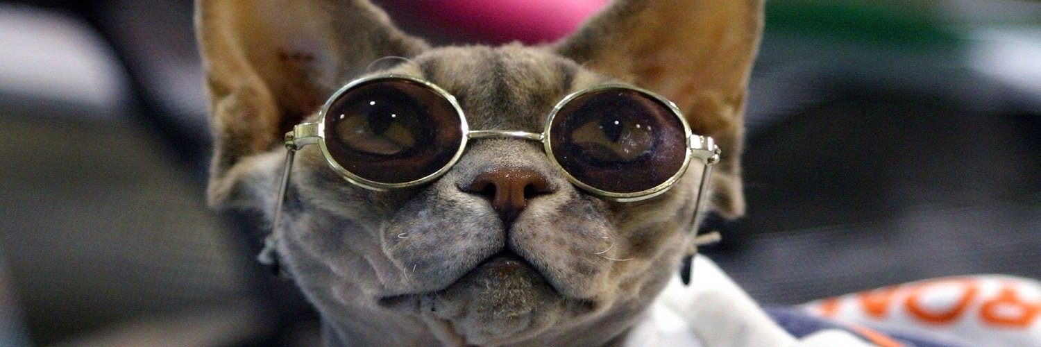 Swavey_Dee's profile banner image