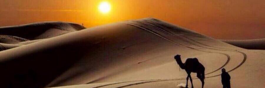 sool6an's profile banner image