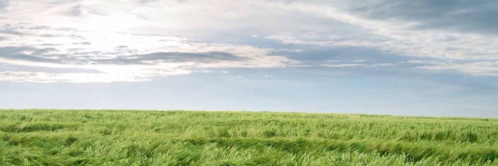 4Lapis's profile banner image