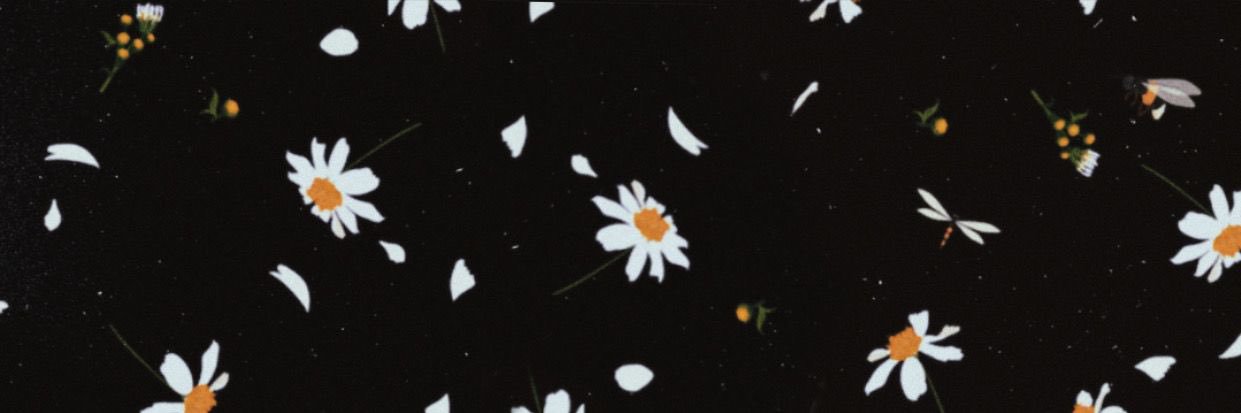 bloopsarah's profile banner image