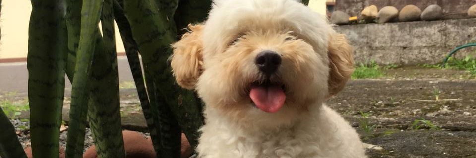 erickatorres06's profile banner image