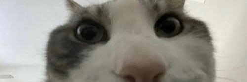 TylerRussell738's profile banner image