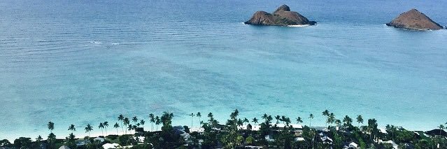 sofia hernandez banner