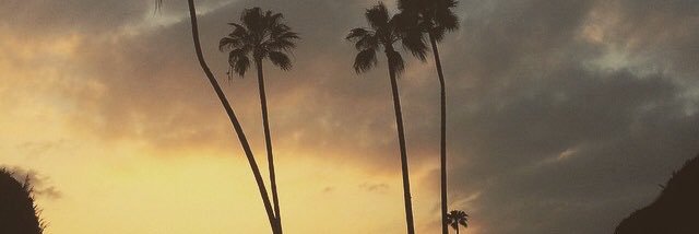 jadechislett's profile banner image