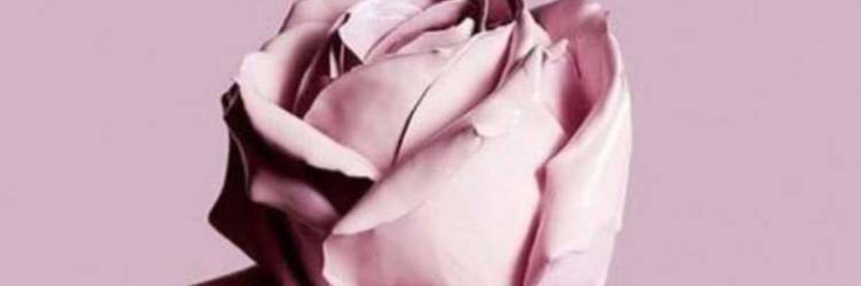 EshraqOsman's profile banner image