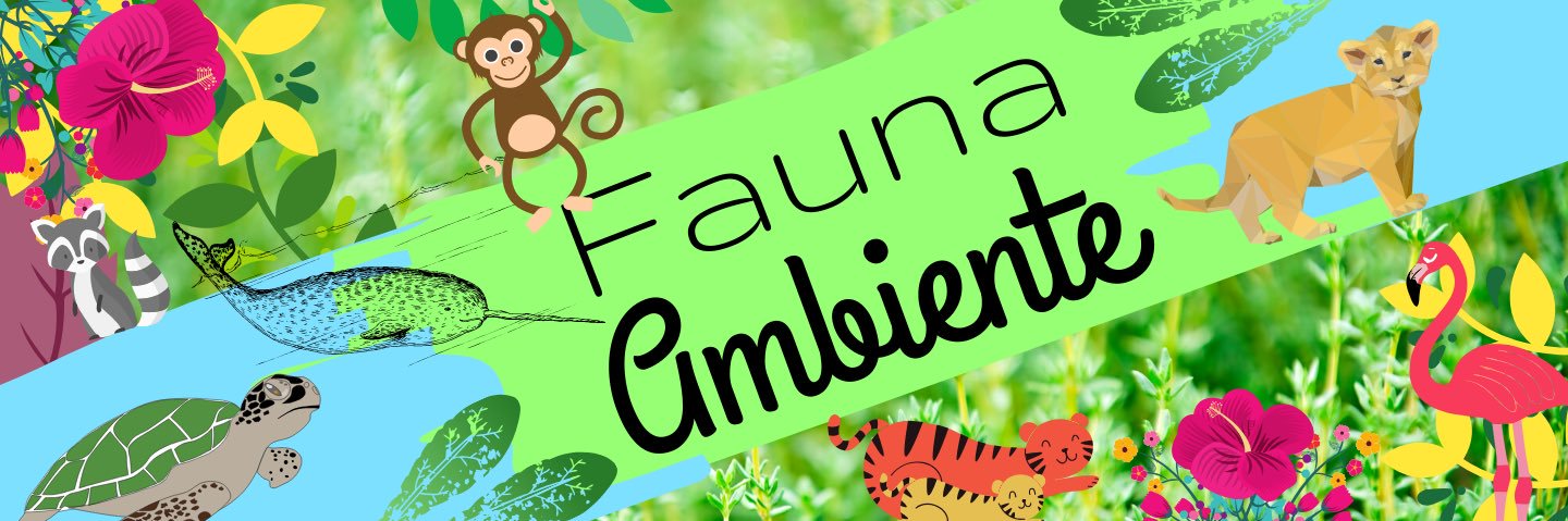 faunambiente's profile banner image