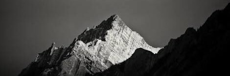 halder28g's profile banner image