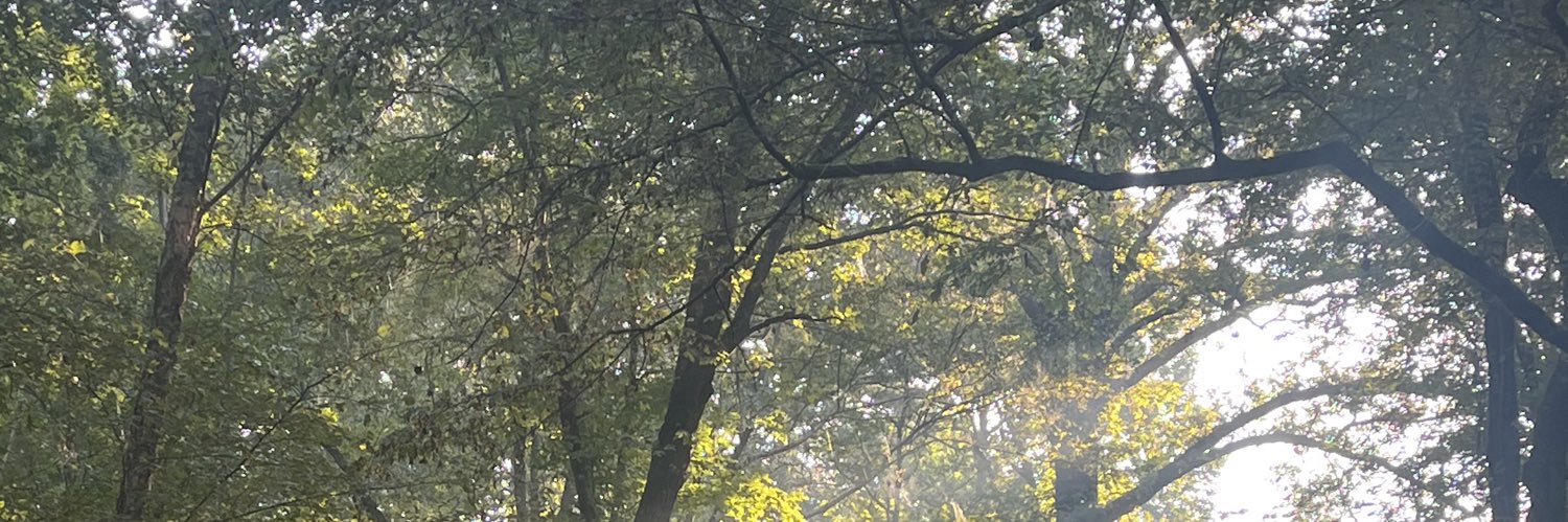 LishaCannizzaro's profile banner image