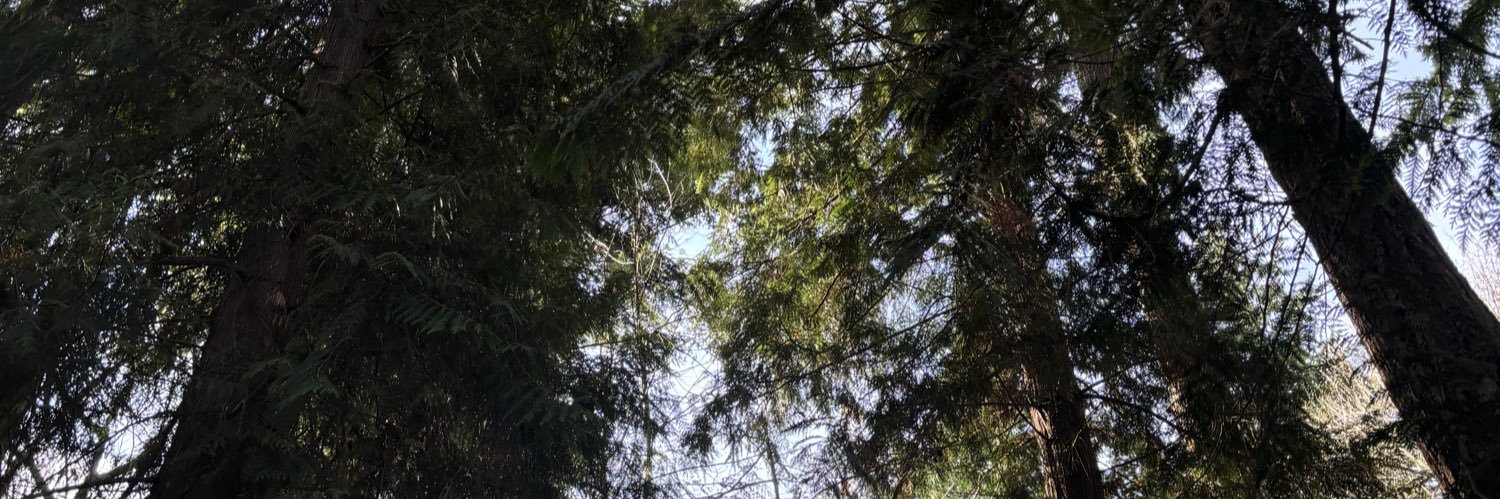 kaleecrossing's profile banner image