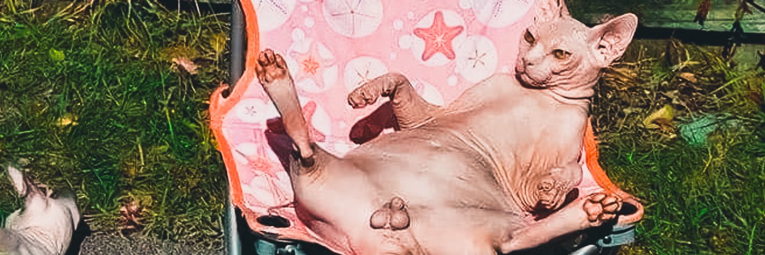 akatov_d's profile banner image