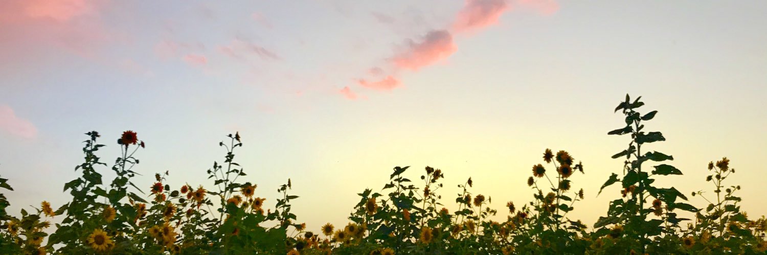 oh_joy__'s profile banner image