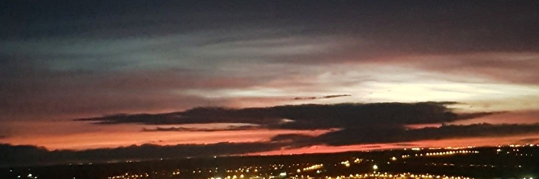 Bea banner