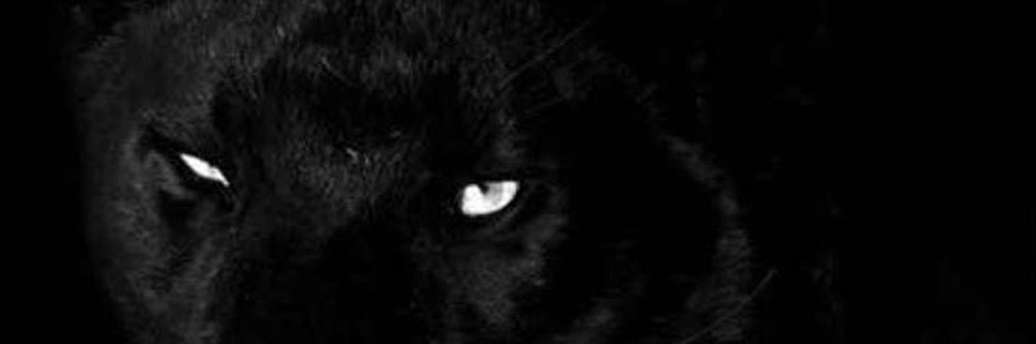 فيـافي 🇦🇪 banner