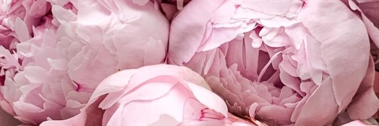 aldiborgetto's profile banner image