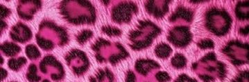 papar0ach's profile banner image