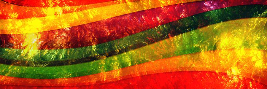 13F2PL7's profile banner image
