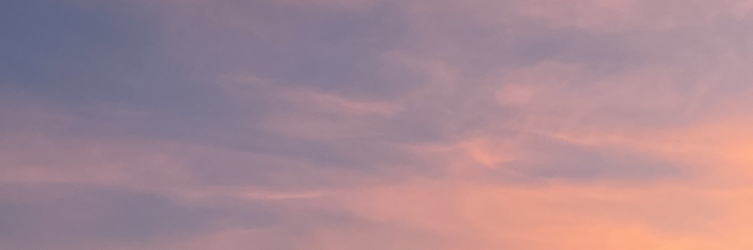 Chloe Amico banner