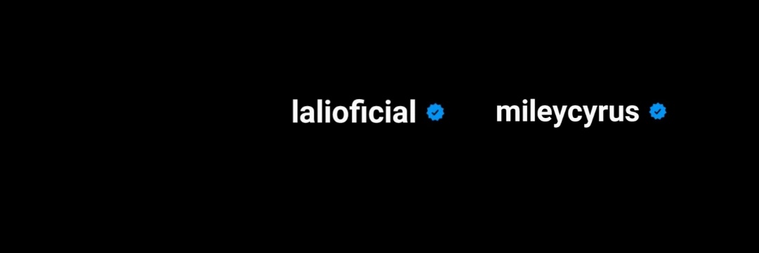 lalixgnzalez's profile banner image