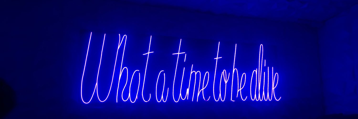 alinn banner