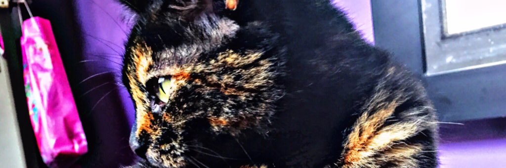 KarenGarzon_'s profile banner image