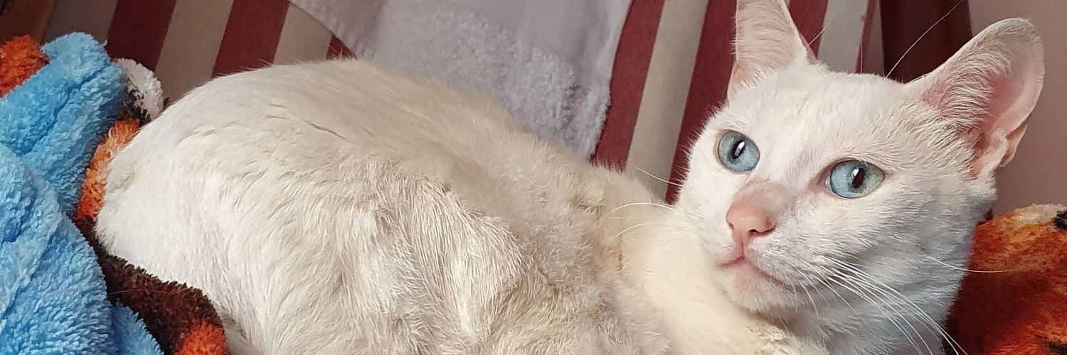 Glopes90's profile banner image