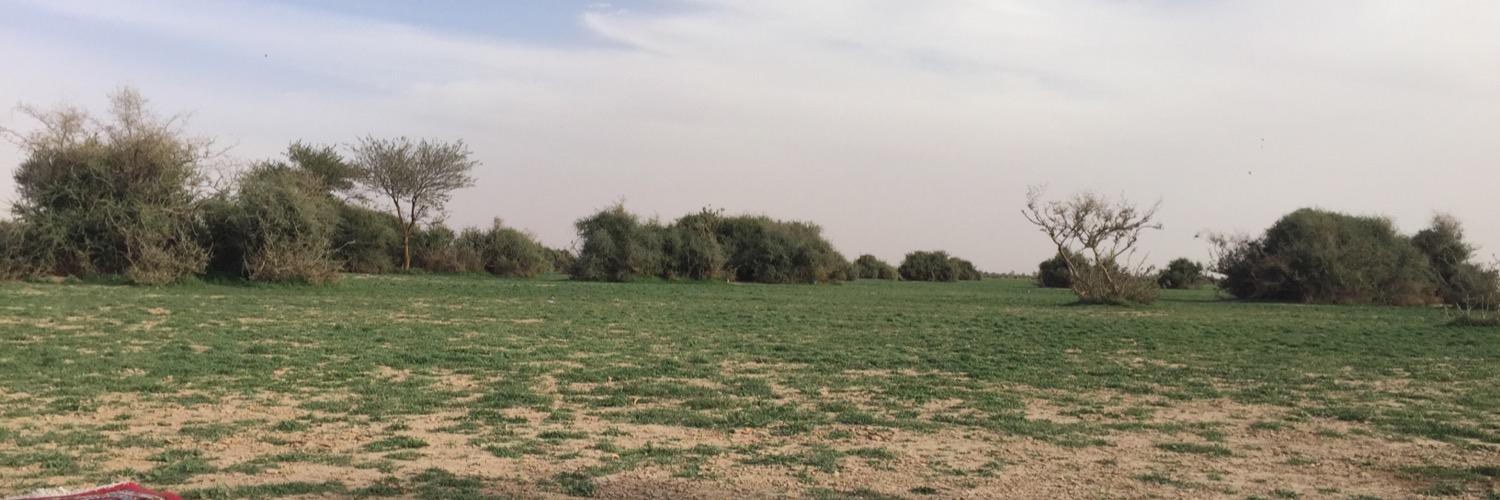 MrAlsabt's profile banner image