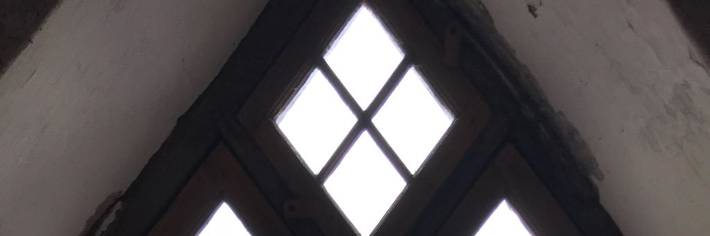 margiereed's profile banner image