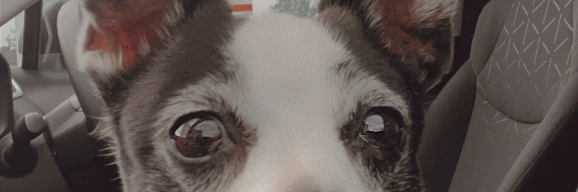 kaittlynnwebb's profile banner image