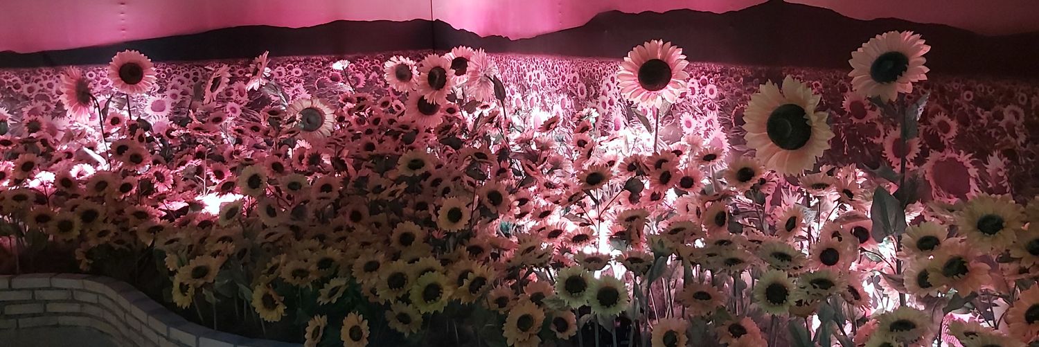 cela_cecela's profile banner image
