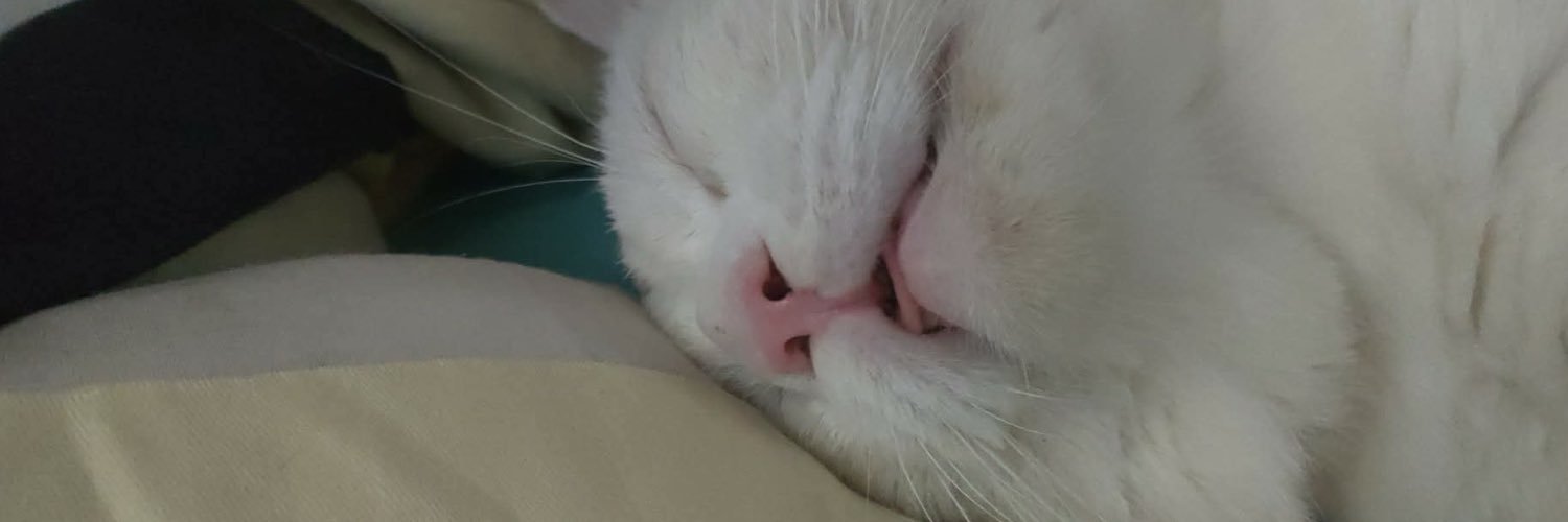 unbeargerable's profile banner image